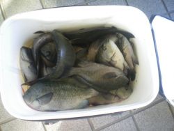 姫路市立遊魚センター 投稿