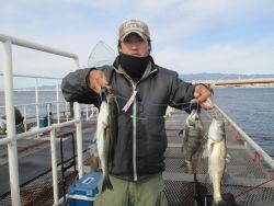 様エビ撒きの反応良し！尼崎市立魚つり公園