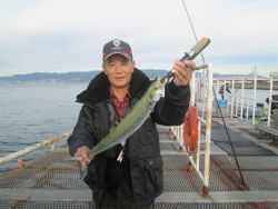 様エビ撒きの反応良し！尼崎市立魚つり公園