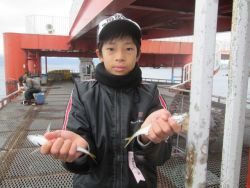 尼崎市立魚つり公園 食べ頃サイズのアジばかり♪