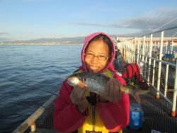 尼崎市立魚つり公園　今日もセイゴは絶好調！