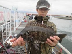尼崎市立魚つり公園　セイゴ好調