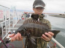 尼崎市立魚つり公園　セイゴ好調