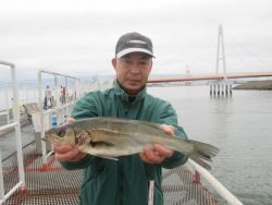 尼崎市立魚つり公園　セイゴ好調