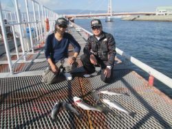 尼崎市立魚つり公園 ハネ・セイゴ高活性