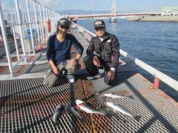 尼崎市立魚つり公園 ハネ・セイゴ高活性