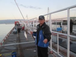 尼崎市立魚つり公園 ハネ・セイゴ高活性