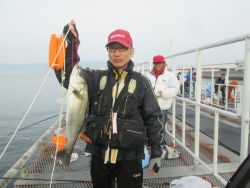 尼崎市魚つり公園　セイゴ・ハネ・チヌ・イワシなどの釣果