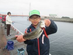尼崎海釣り公園　サビキ・ウキ釣りなどの釣果