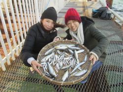 尼崎市立魚つり公園　４８ｃｍのチヌほか