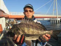 尼崎市立魚つり公園 48cmのチヌほか