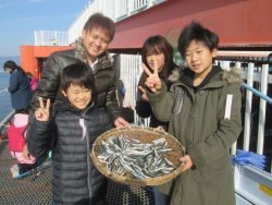 尼崎市魚つり公園　園内セイゴ560 匹の釣果