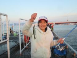 尼崎市魚つり公園　園内セイゴ560 匹の釣果