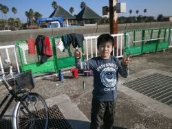 大阪南港海釣り公園　サビキでアジほま