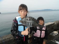 北港海釣り公園　ヒラメ＆チヌの釣果