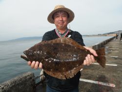 北港海釣り公園　ヒラメ＆チヌの釣果