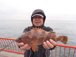 神戸市立平磯海づり公園　ウキ釣りで良型アコ…