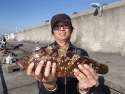 神戸市立平磯海づり公園 投稿