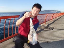 神戸市立平磯海づり公園でエギング