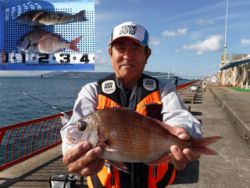 神戸市立平磯海づり公園　ウキ釣りでマダイ、…