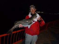 スズキ83cm！神戸市立平磯海づり公園