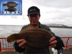 神戸市立平磯海づり公園、投げ釣りカレイ釣果…