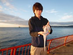 神戸市立平磯海づり公園　エギングでアオリイ…