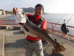 神戸市立平磯海づり公園 カレイ狙いの投げ竿にBIGサイズのスズキ！