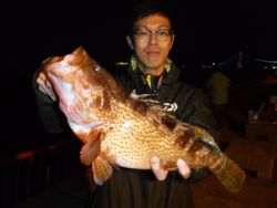平磯海釣り公園　ウキ釣りでアコウ44.5c…