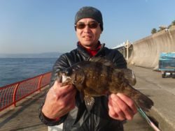 神戸市立平磯海づり公園　メバル！