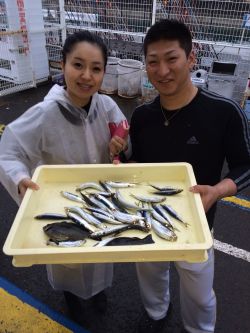 和歌山マリーナシティ海釣り公園　サビキでイ…