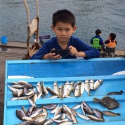 サビキで4目！和歌山マリーナシティ海釣り公園