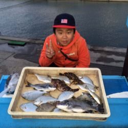 「アコウ釣ったどー！」マリーナシティ海釣り公園