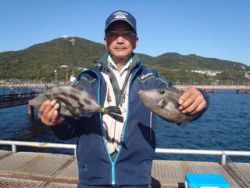 神戸市立須磨海づり公園 良型ウマヅラハギを…