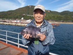 神戸市立須磨海づり公園 落とし込みでイシダ…