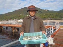 神戸市立須磨海づり公園でサビキ釣り