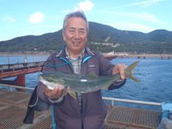 神戸市立須磨海づり公園　ウキ流しでハマチ