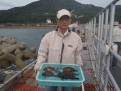 神戸市立須磨海づり公園、シラサエビでガシラ釣り