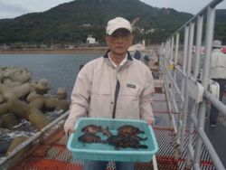 神戸市立須磨海づり公園、シラサエビでガシラ…