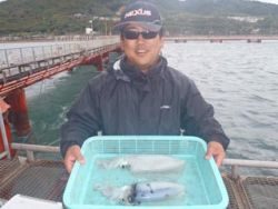 神戸市立須磨海づり公園 エギングでナイスサイズのアオリイカ