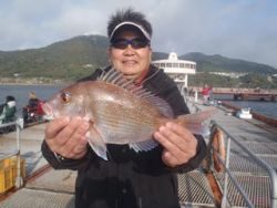 シラサエビでマダイ釣り★須磨海づり公園