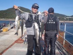 神戸市立須磨海づり公園 シラサでハネからス…