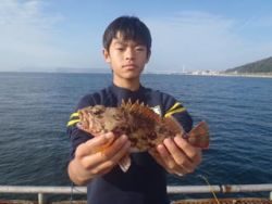 神戸市立須磨海づり公園 投げ釣りでナイスサイズのガシラ