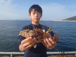 神戸市立須磨海づり公園 投げ釣りでナイスサ…