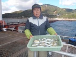 神戸市立須磨海づり公園　サビキでアジ30匹