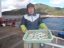 神戸市立須磨海づり公園　サビキでアジ30匹…