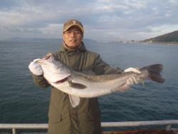 神戸市立須磨海づり公園　スズキ 	85.7cm