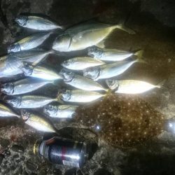 最高の釣り日和