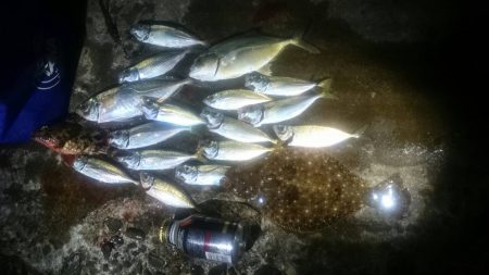 最高の釣り日和