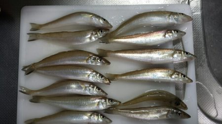 ちょい投げでキス！